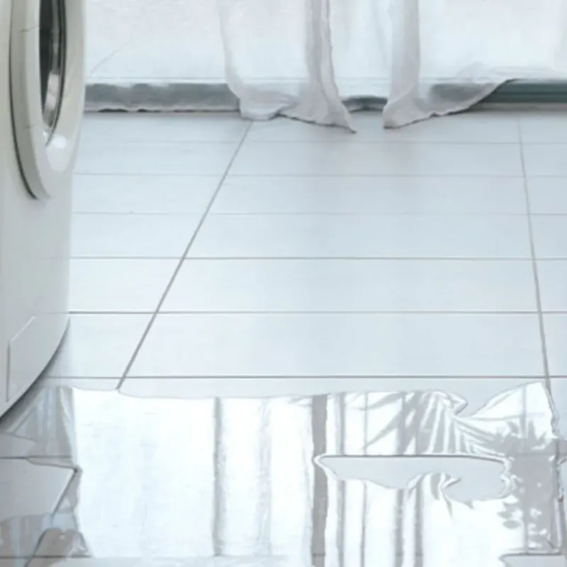 Appliance Leak Cleanup in South Venice, FL