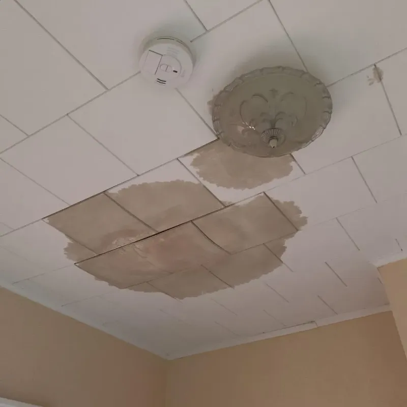 Ceiling Water Damage Repair in South Venice, FL